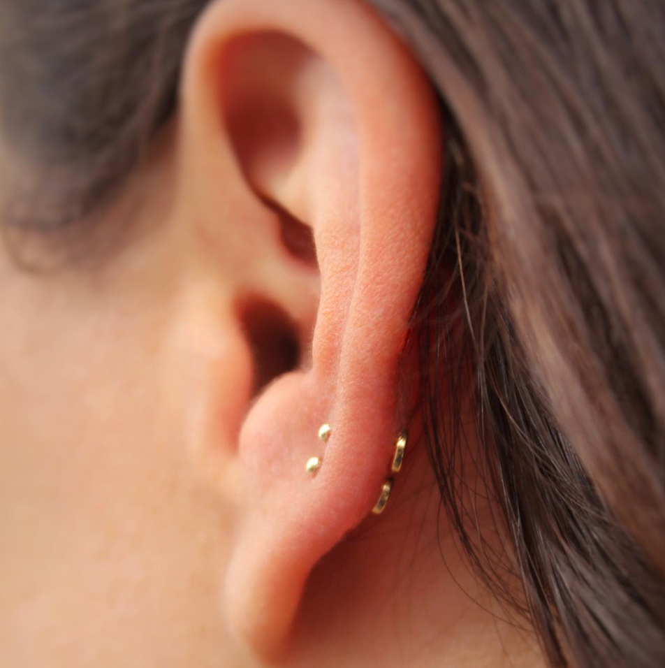 Left ear featuring 2 healed upper lobe piercings both with 14k Yellow Gold BVLA "Threadless Labret Post" and 14k Yellow gold BVLA "Domes"