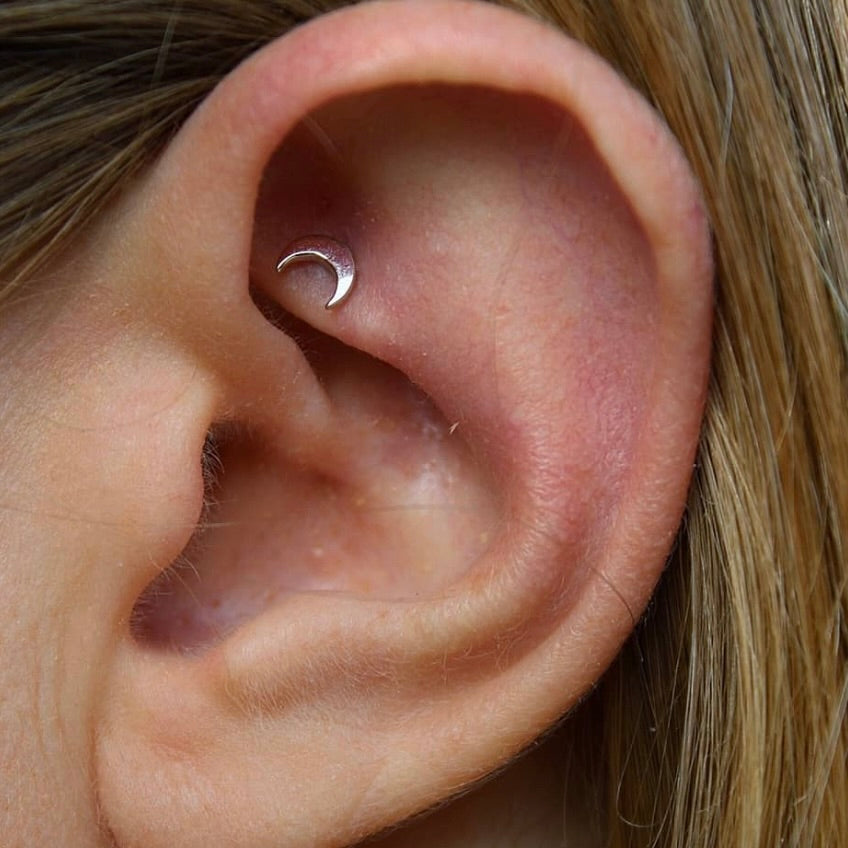 Left ear with BVLA's "Moon" in 14k White gold in a healed rook piercing