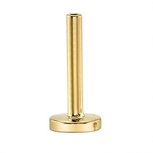 BVLA's "Threadless Labret Post" in 14k Yellow Gold