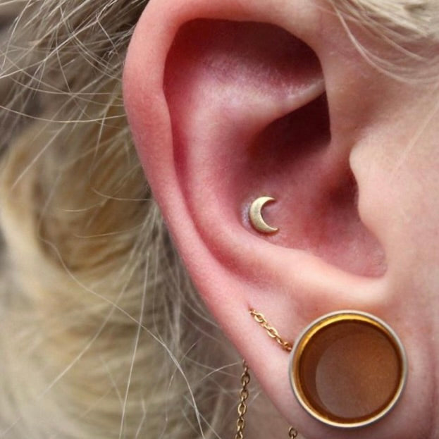 Right ear with BVLA's "Moon" in 14k Yellow gold in a conch piercing, as well as a chain draped between two lobe piercing and a stretched lobe with a bronze tunnel.