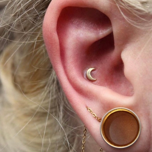 Right ear with BVLA's "Moon" in 14k Yellow gold in a conch piercing, as well as a chain draped between two lobe piercing and a stretched lobe with a bronze tunnel.