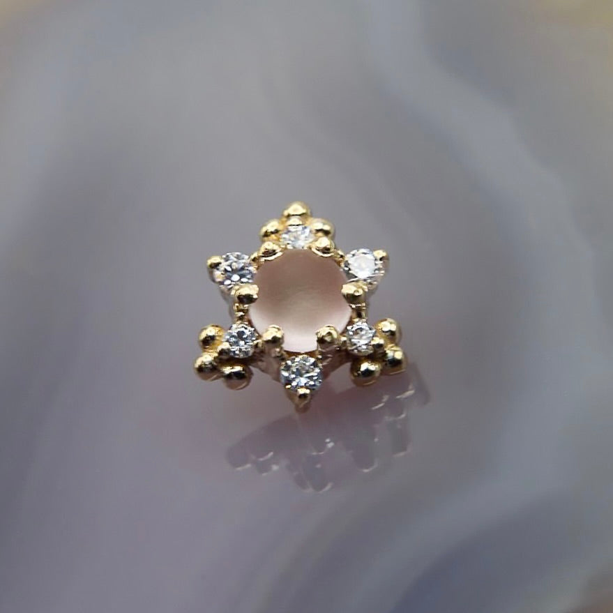 Lobe & Cartilage Jewelry Ahimsa Piercing Studio & BVLA Fine Jewelry