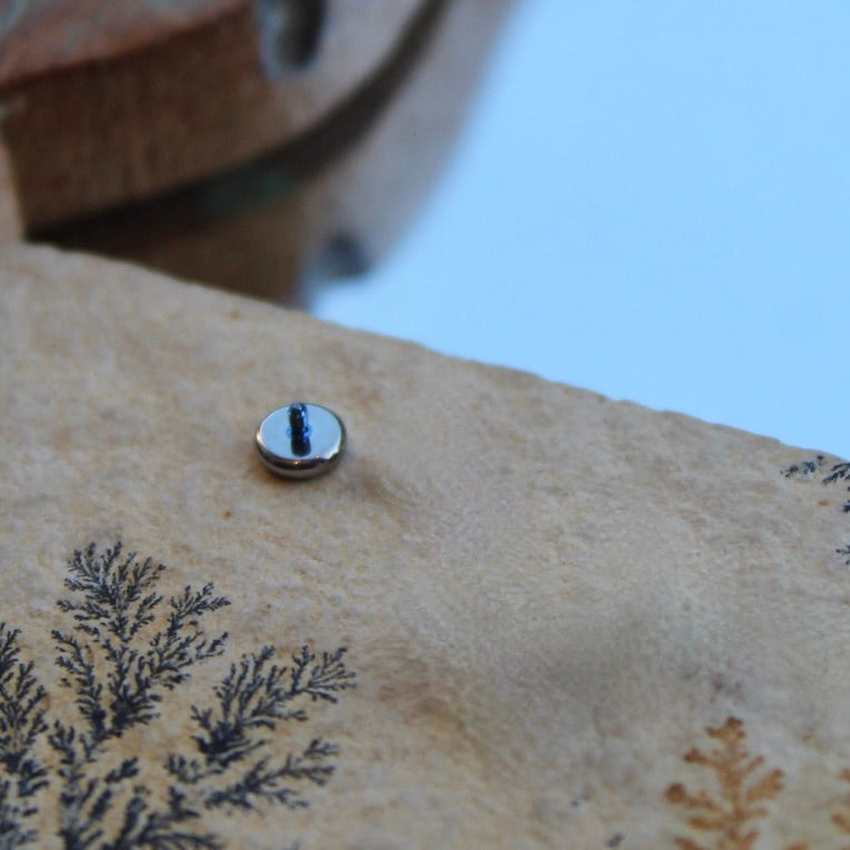 
                  
                    Anatometal's "Disc" in Implant Grade Titanium in a 4mm Size. Shown on a background featuring a light grey stone with black and gold ink vines.
                  
                