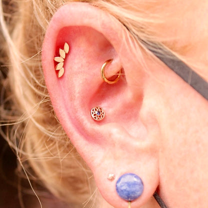 Right ear featuring a BVLA "Flat Serenity" in 14k Yellow gold and an assortment of other yellow gold jewelry and a large purple stone in the first lobe piercing