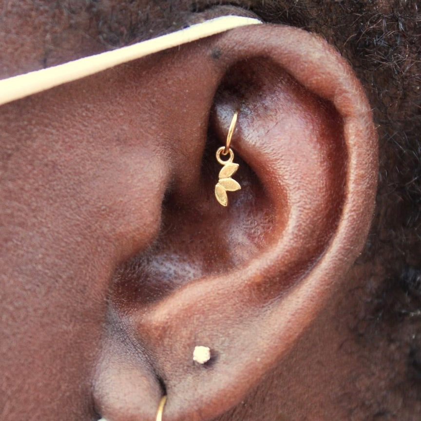 
                  
                    Left ear featuring a healed rook piercing with a fitted 14k Yellow Gold BVLA "Seam Ring" with a 14k Yellow Gold BVLA "Flat Marquise Fan Charm" dangling from it
                  
                