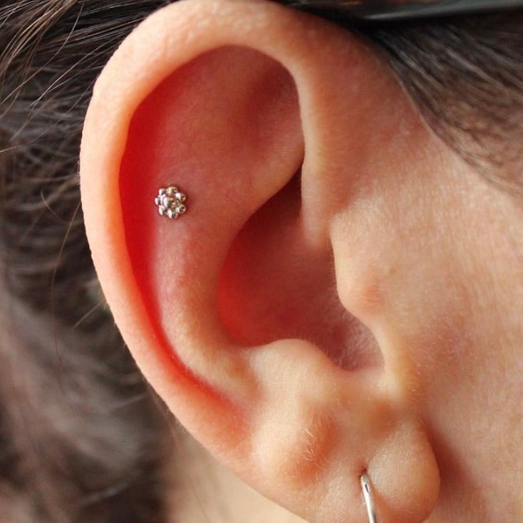 
                  
                    Right ear with BVLA's "7 Bead Flower" in 14k White gold in a flat piercing
                  
                