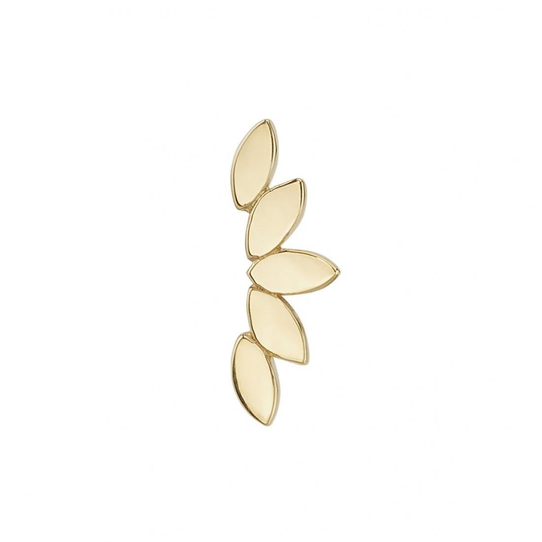 
                  
                    BVLA's "Flat Serenity" shown in 14k Yellow gold
                  
                